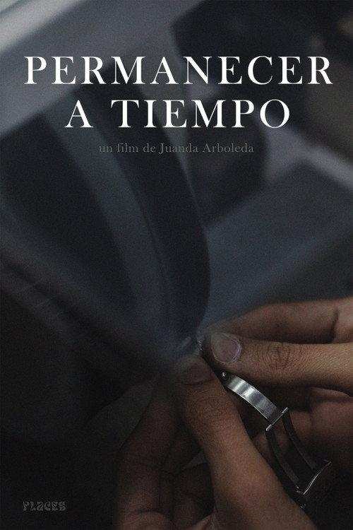 Permanecer a tiempo 2024 official movie poster