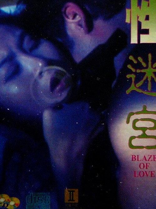 Blaze of Love 1994 official movie poster