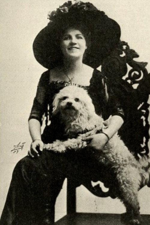 The Rose's Story 1911 official movie poster