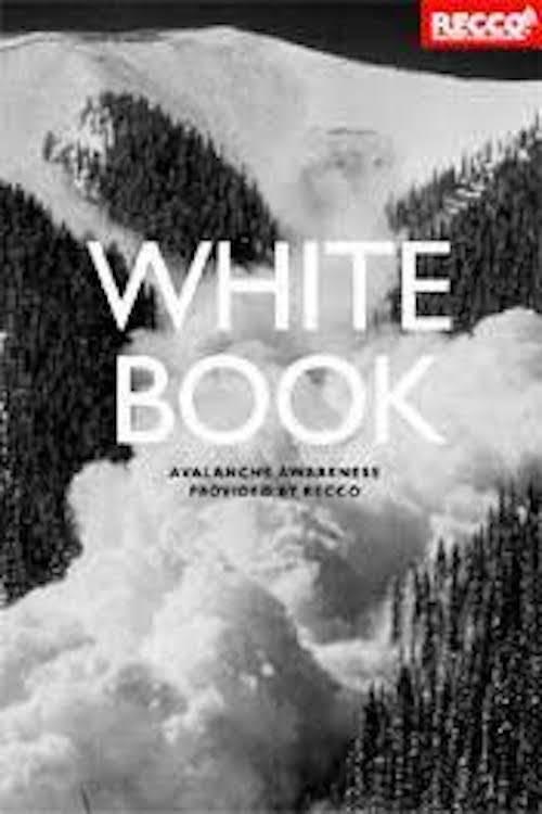 Whitebook 2010 official movie poster