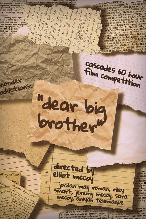 Dear Big Brother 2026 official movie poster