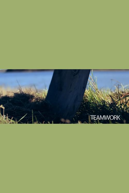 Teamwork 2017 official movie poster