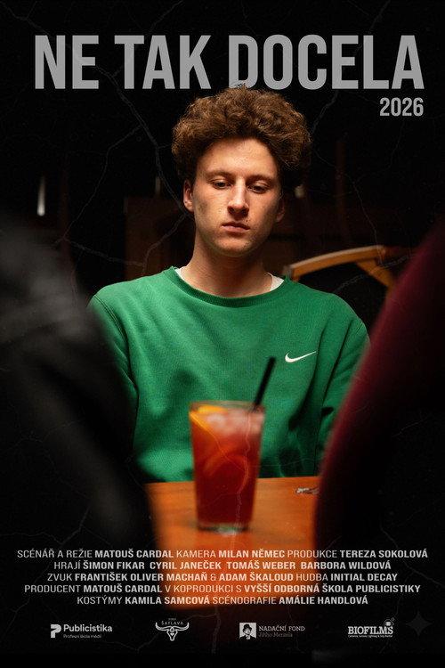 Not Exactly 2026 official movie poster