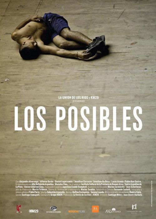 Los posibles 2013 official movie poster