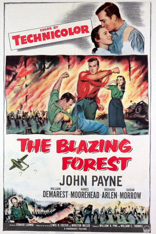 The Blazing Forest 1952 official movie poster