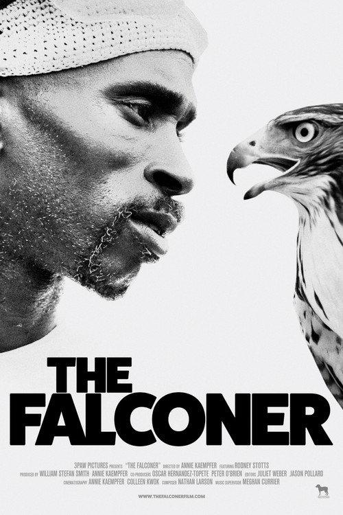 The Falconer 2020 official movie poster