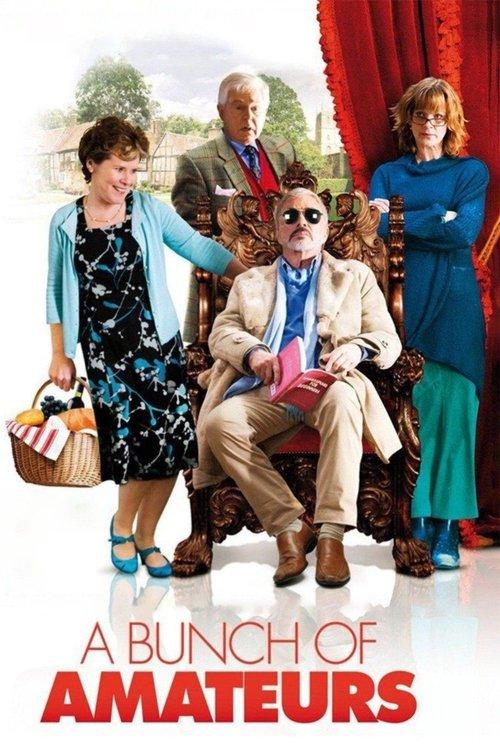 A Bunch of Amateurs 2008 official movie poster
