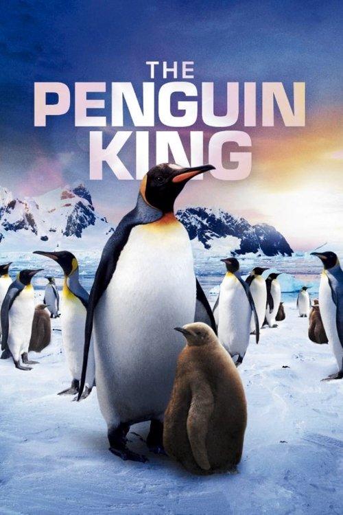 The Penguin King 2012 official movie poster