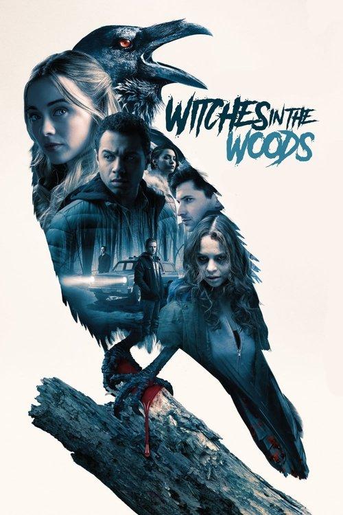 Witches in the Woods 2019 official movie poster