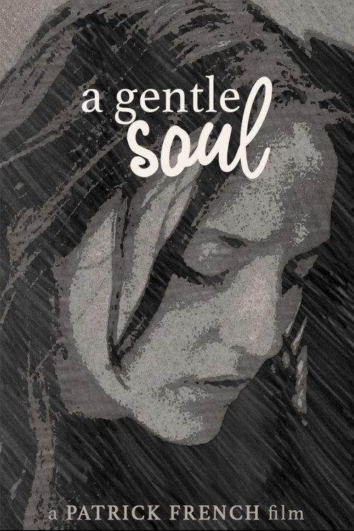 A Gentle Soul 2022 official movie poster
