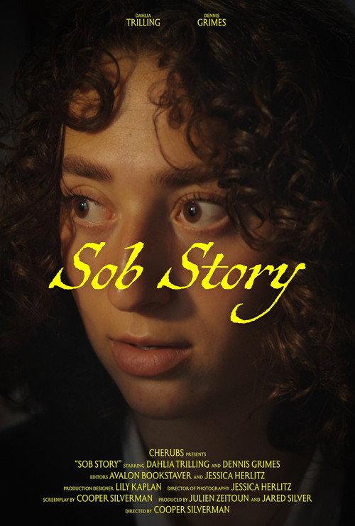 Sob Story 2025 official movie poster