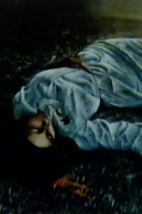 Occupied Palestine 1981 official movie poster
