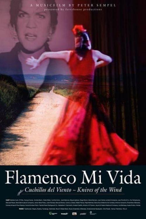 Flamenco mi vida - Knives of the wind 2008 official movie poster