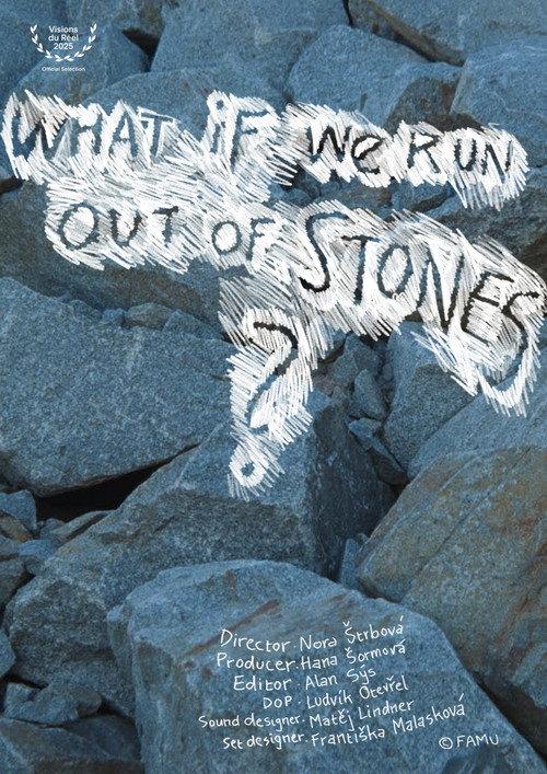 What If We Run Out of Stones? 2025 official movie poster