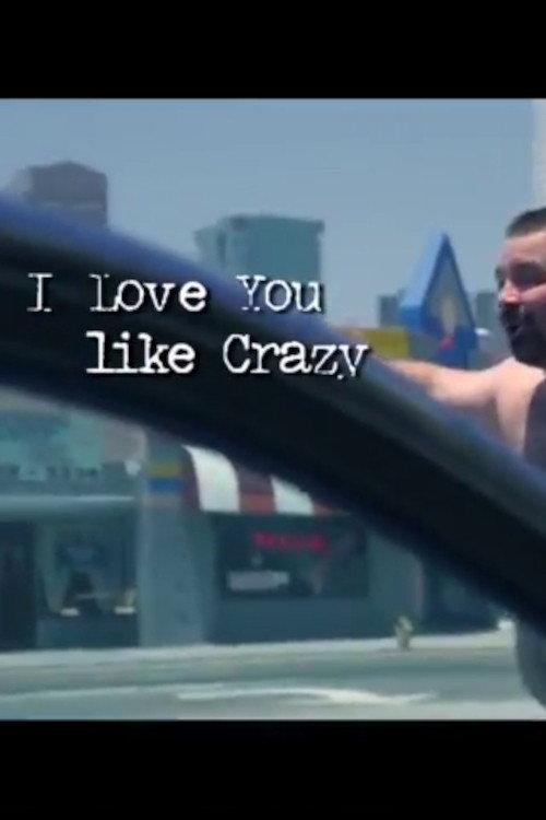 I Love You Like Crazy 2011 official movie poster
