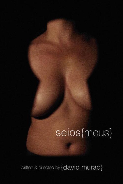 Seios Meus 2015 official movie poster