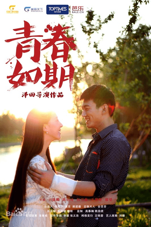 Youth on Schedule 2013 official movie poster