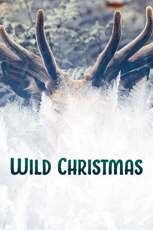 Wild Christmas 2020 official movie poster