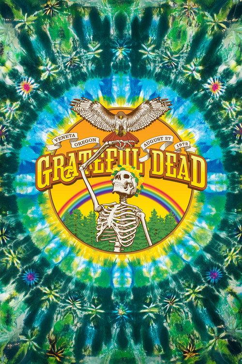 Grateful Dead: Sunshine Daydream 2013 official movie poster