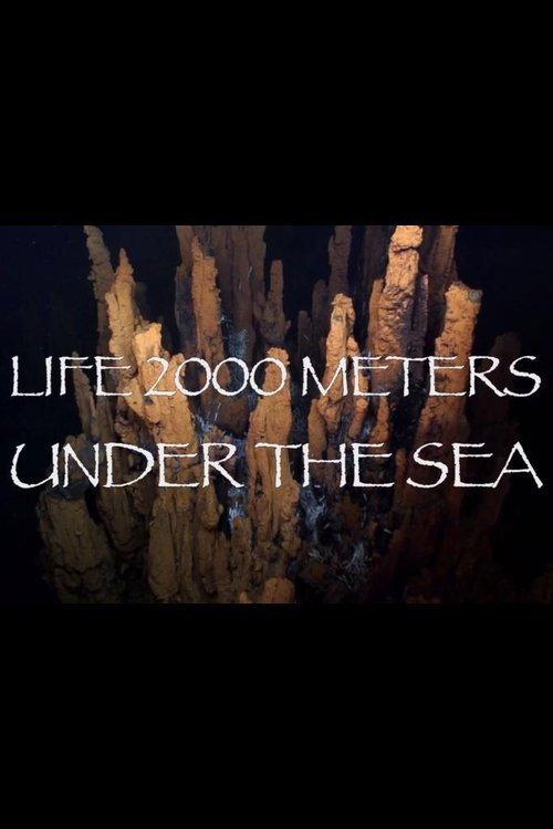 Life 2,000 Meters Under the Sea 2014 official movie poster