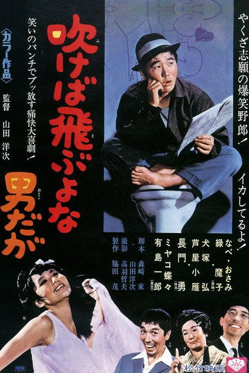 The Shy Deceiver 1968 official movie poster