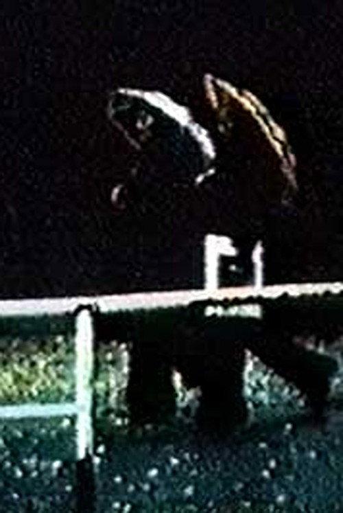 Just Waiting 1975 official movie poster
