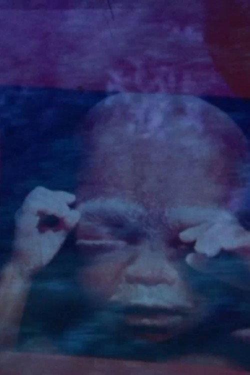 Le Palme e Tangeri 1972 official movie poster