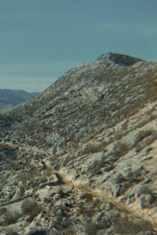 The Road 1977 official movie poster