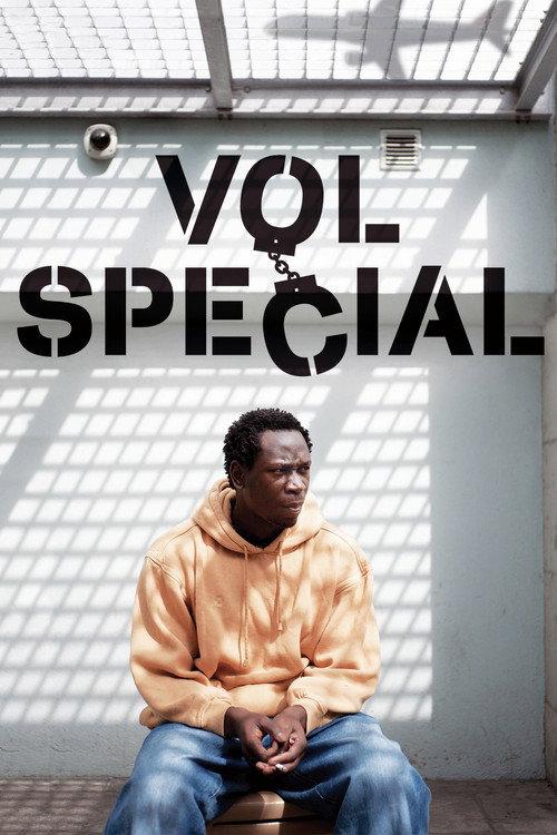 Special Flight 2011 official movie poster