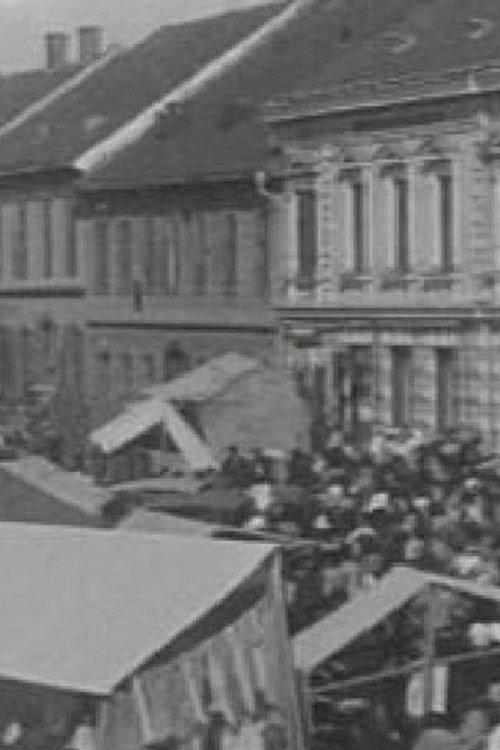 The Ljutomer Fair 1905 official movie poster
