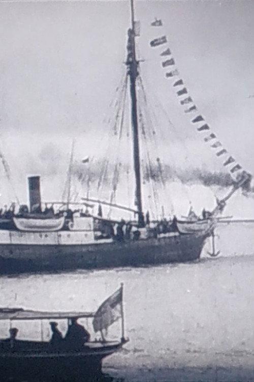 The Expedition of Georgy Sedov 1913 official movie poster
