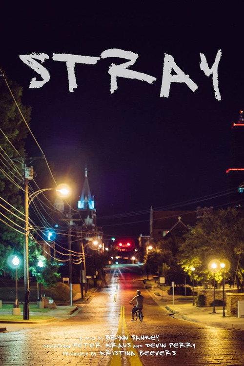 Stray 2015 official movie poster