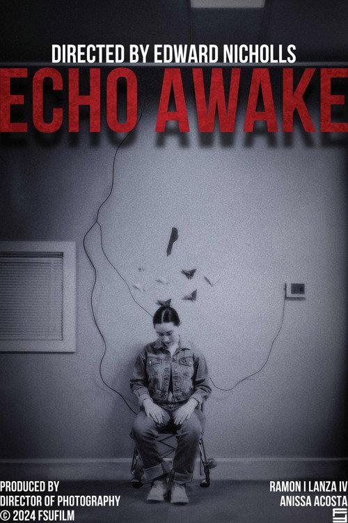 Echo Awake 2024 official movie poster