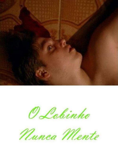 O Lobinho Nunca Mente 2007 official movie poster