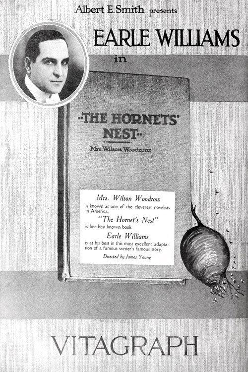 Hornet's Nest 1919 official movie poster