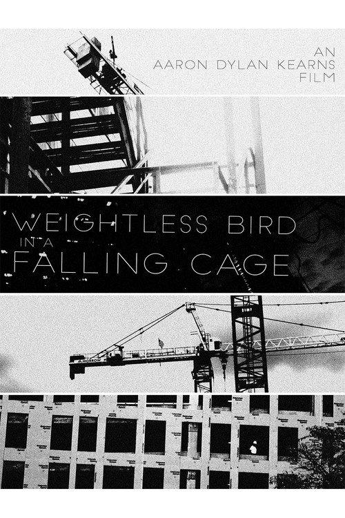 Weightless Bird In A Falling Cage 2017 official movie poster
