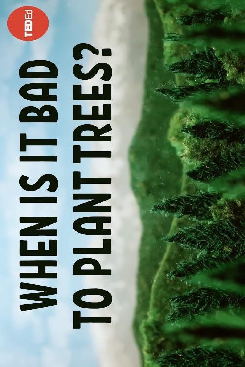 When Is It Bad to Plant Trees? 2024 official movie poster