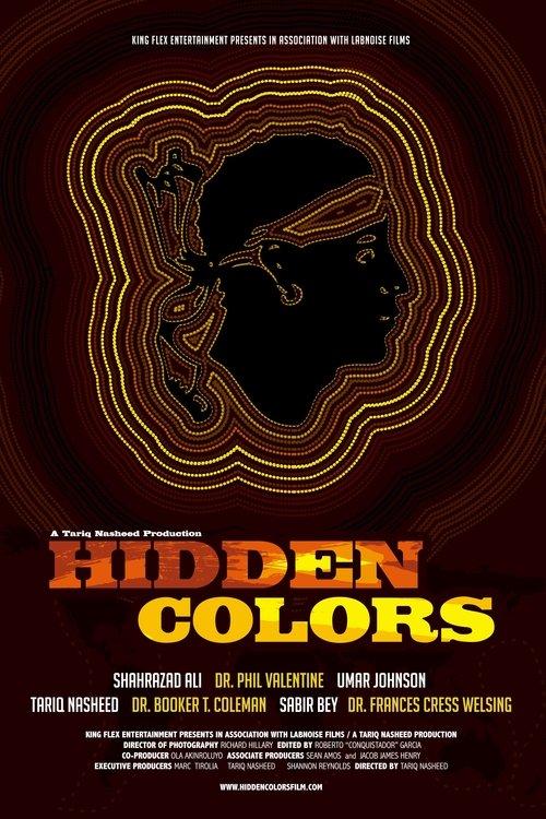 Hidden Colors 2011 official movie poster