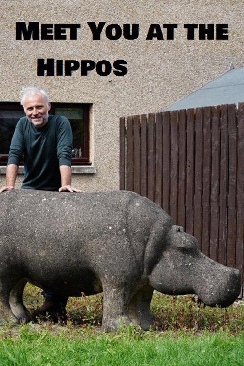 Meet You at the Hippos 2021 official movie poster