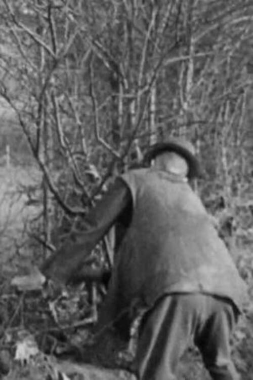Hedging 1942 official movie poster
