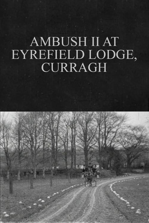 Ambush II at Eyrefield Lodge, Curragh 1902 official movie poster
