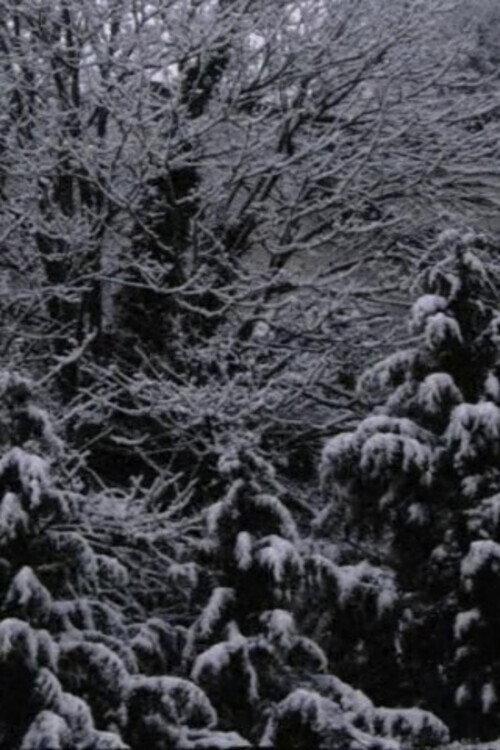 Snow Film 2019 official movie poster