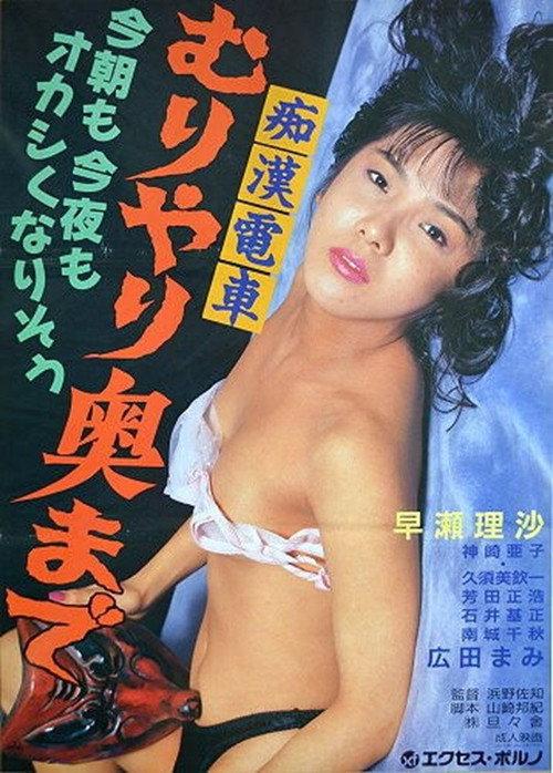 Molester Train: Forced Deep Inside 1991 official movie poster