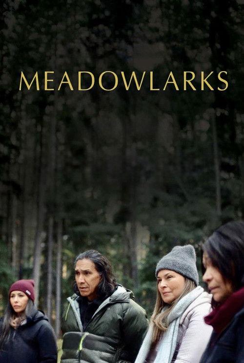 Meadowlarks 2025 official movie poster