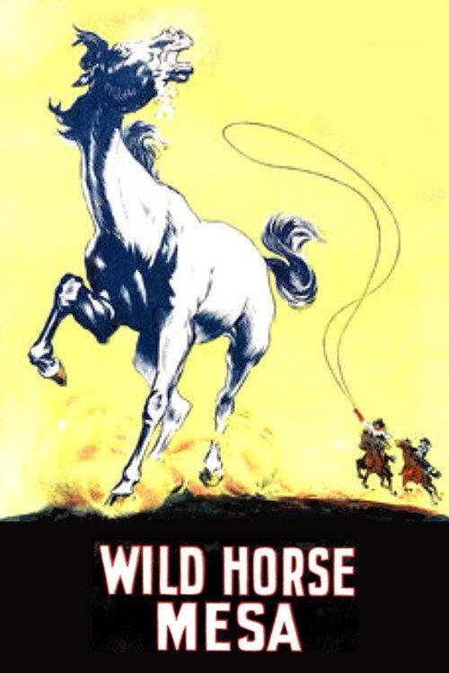 Wild Horse Mesa 1925 official movie poster