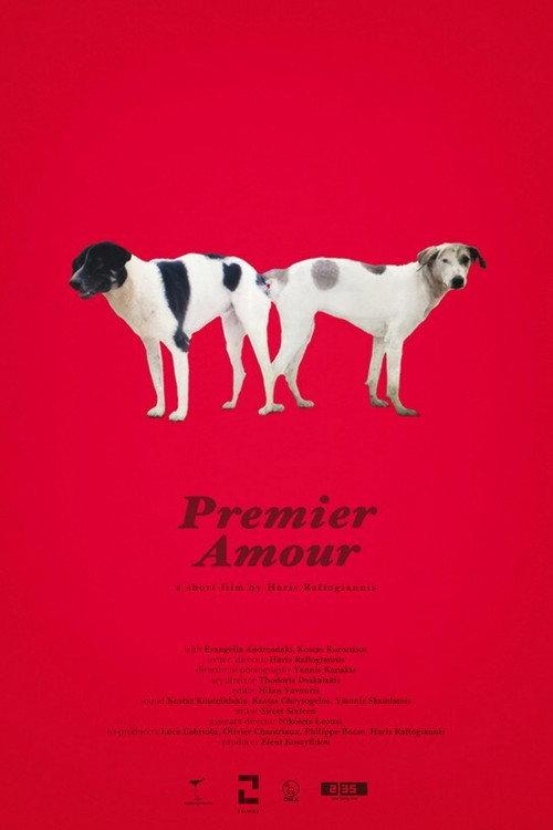 Premier Amour 2020 official movie poster
