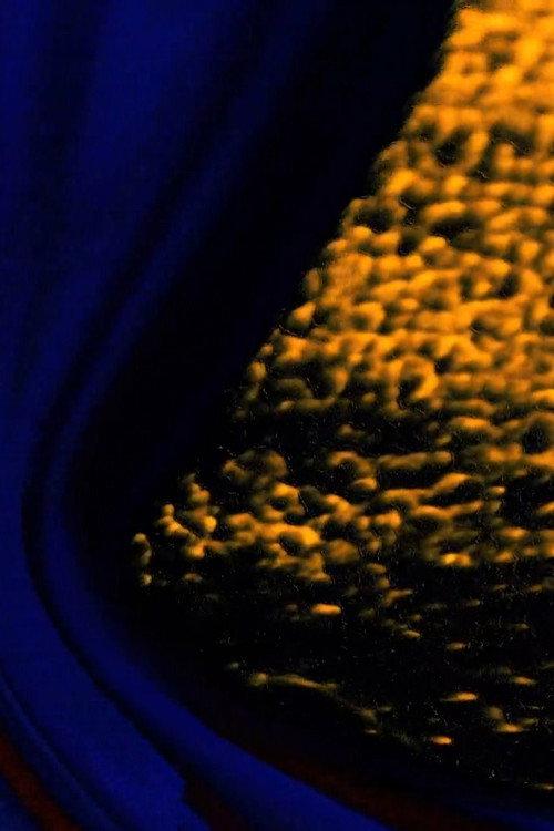 Pangloss 2015 official movie poster