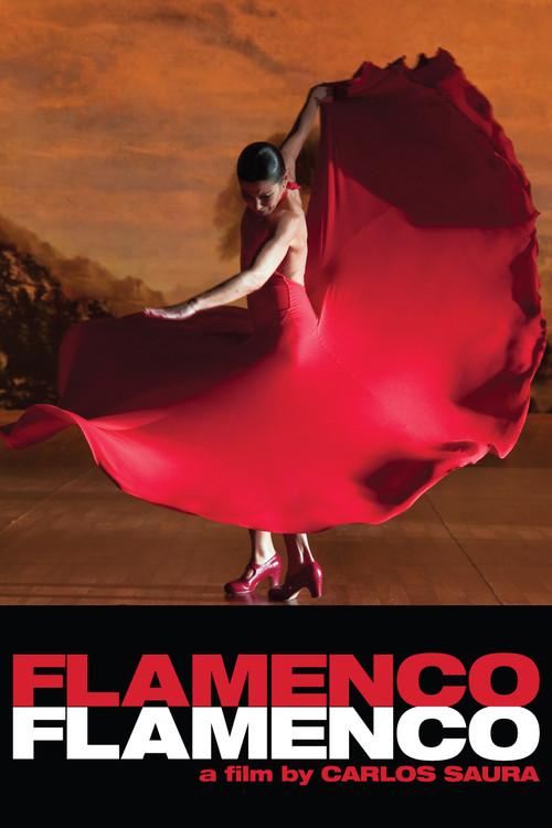Flamenco Flamenco 2010 official movie poster