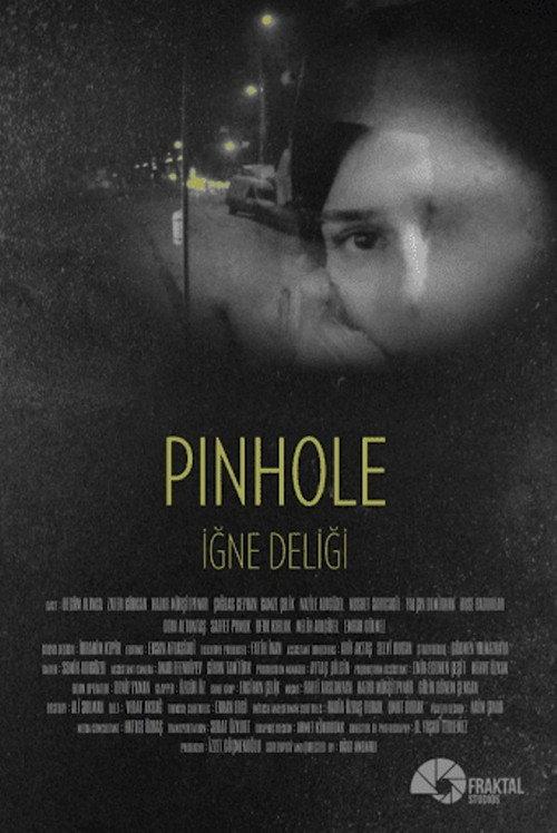 Pinhole 2015 official movie poster