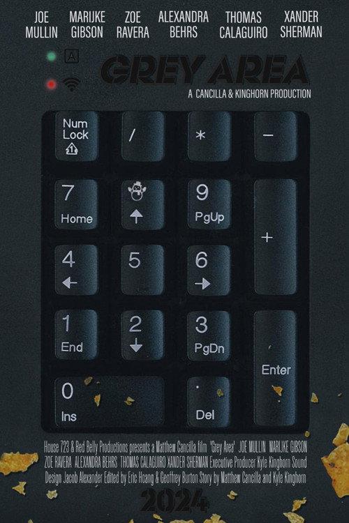 Grey Area 2025 official movie poster